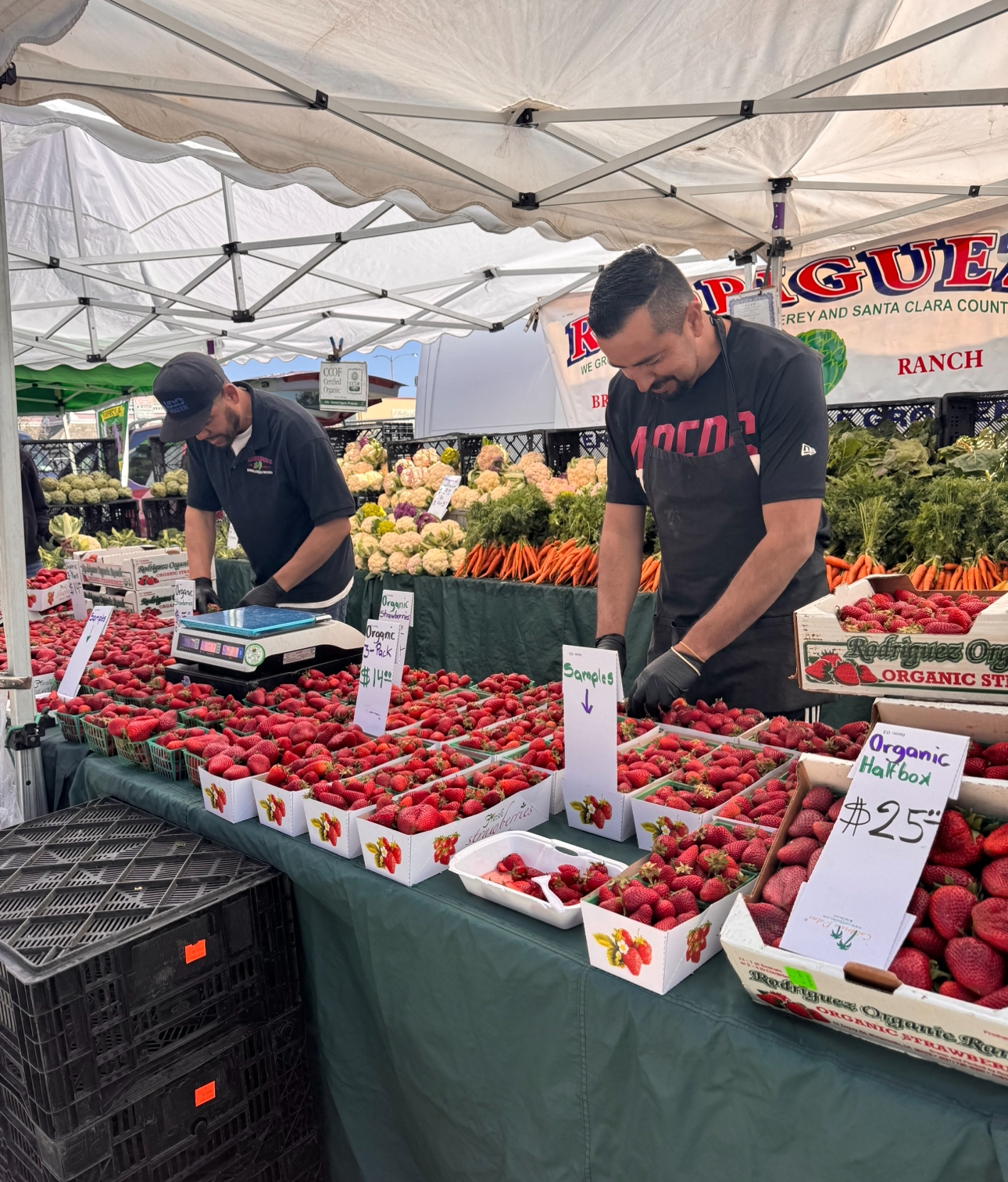 strawberry stand